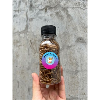 Sâu trung sấy khô cho hamster [20gr / 50gr /100gr]