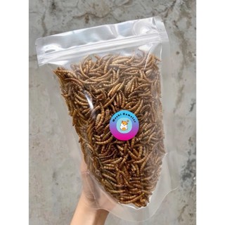 Sâu trung sấy khô cho hamster [20gr / 50gr /100gr]