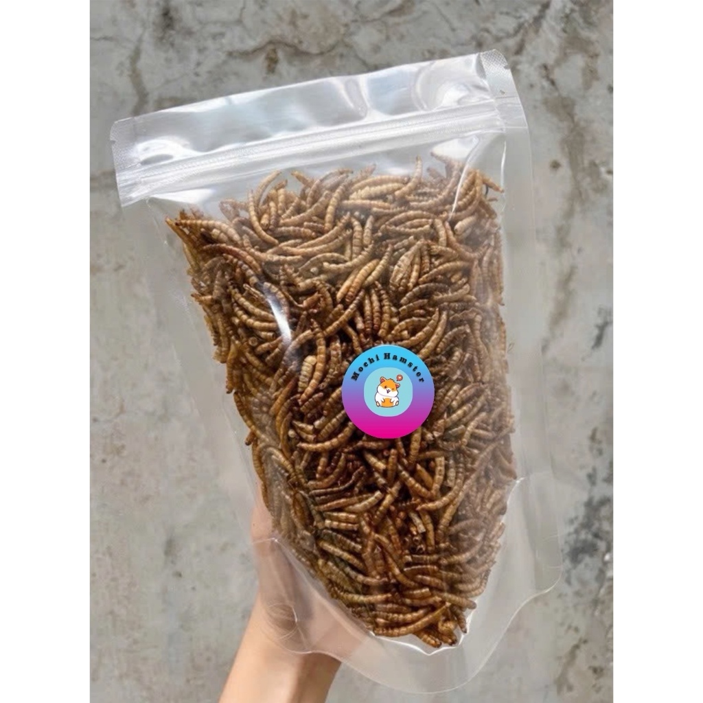 Sâu trung sấy khô cho hamster [20gr / 50gr /100gr]