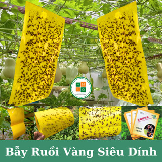 Bẫy ruồi vàng, bẫy màu côn trùng 2 mặt - Hiệu quả với nhiều loài gây hại cho vườn lan, rau hoa màu và cây ăn trái