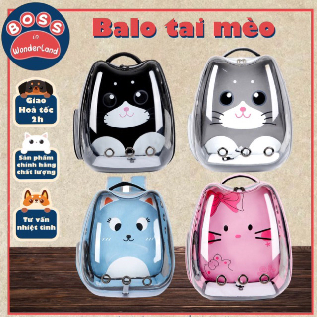 Balo tai mèo cho thú cưng