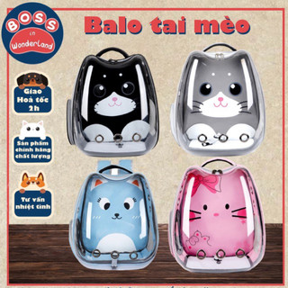Balo tai mèo cho thú cưng