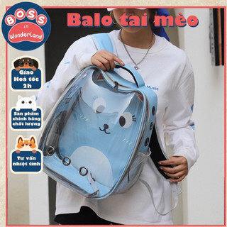 Balo tai mèo cho thú cưng