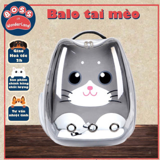 Balo tai mèo cho thú cưng