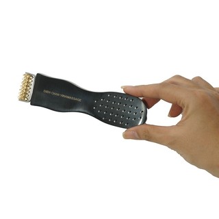 Bàn chải tiên và đồng gai lớn diện chẩn
