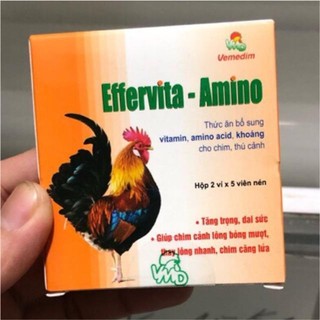 Thức ăn cho chim cảnh, gà đá, gà cảnh Effervita Amino