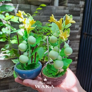 Hoa Đất Sét Mini- Bầu Hồ Lô Mini 15cm