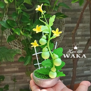 Hoa Đất Sét Mini- Bầu Hồ Lô Mini 15cm
