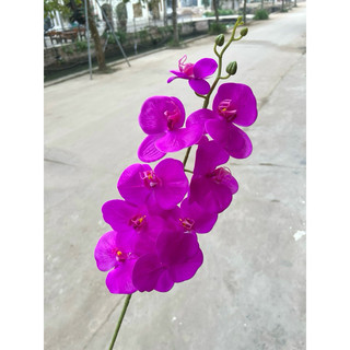 Hoa Lan Hồ Điệp Giả Cao Cấp Cành Lớn 9 Bông Silicon Dài 100 Cm