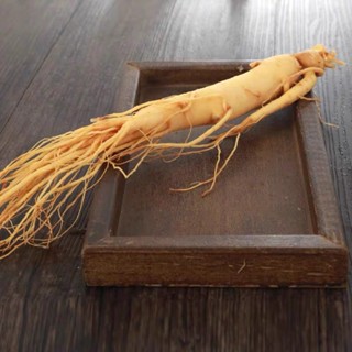 (50g/1 củ) Nhân Sâm Núi Trường Bach_Nhân Sâm Củ Nhỏ Nấu Canh, Hầm Gà.....