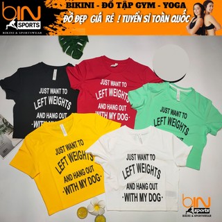 Áo thun nữ tập gym yoga aerobic thể thao croptop ngắn tay chất liệu thun poly thấm hút mồ hôi BINSPORTS A119