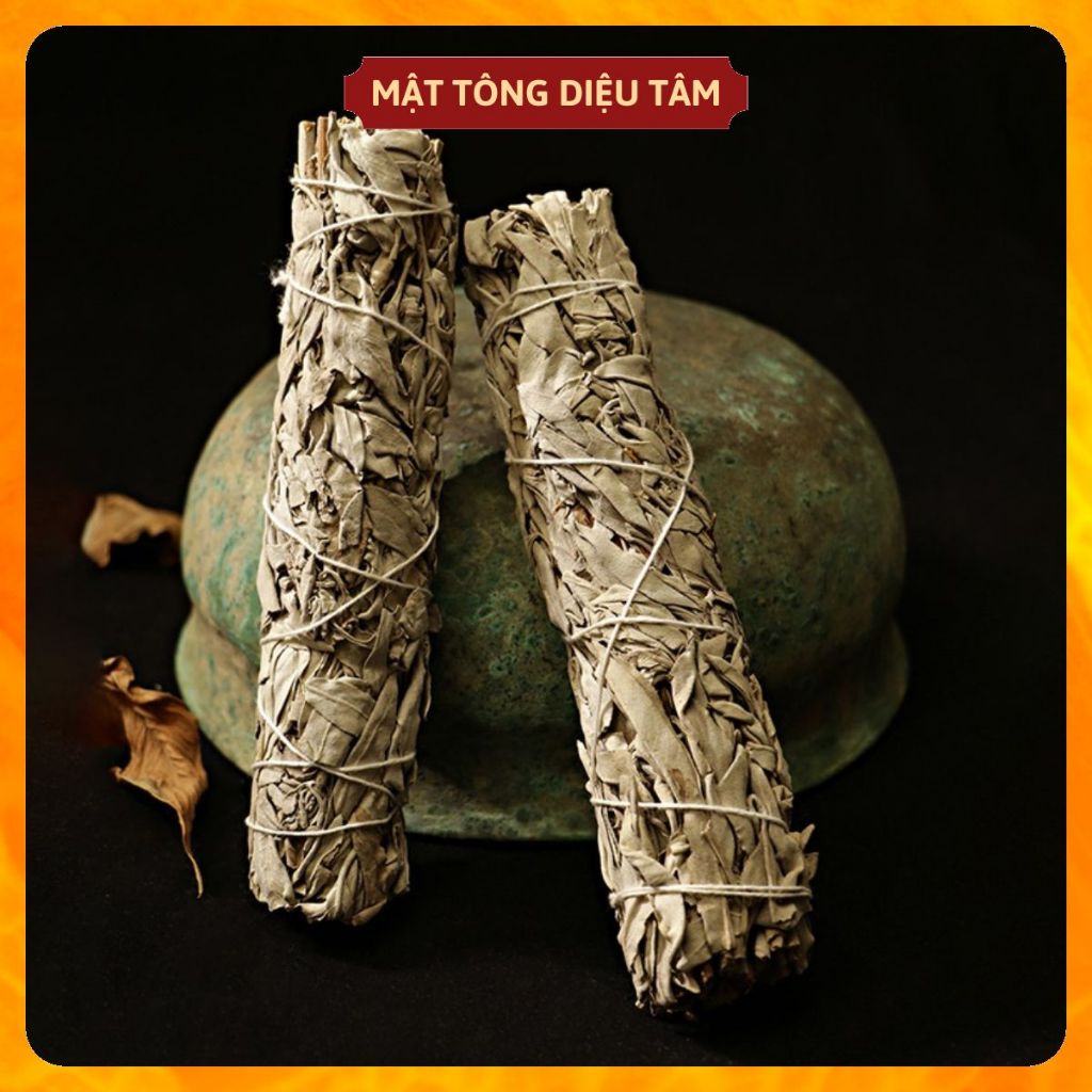 Cây Xô Thơm Trắng/Xô Thơm Xanh/Tuyết tùng Nam California - White Sage/Blue Sage/Cedar Sage