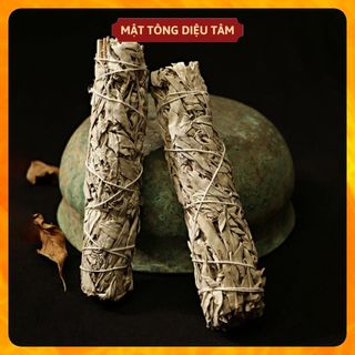Cây Xô Thơm Trắng/Xô Thơm Xanh/Tuyết tùng Nam California - White Sage/Blue Sage/Cedar Sage