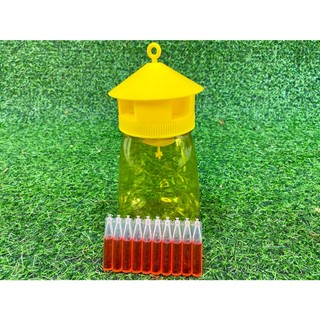 Bộ lồng bẫy ruồi vàng kèm chất dẫn dụ ruồi
