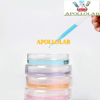 1 CẶP ĐĨA PETRI THỦY TINH NHIỀU SIZE- ĐỨC