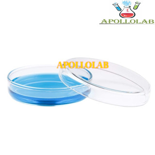 1 CẶP ĐĨA PETRI THỦY TINH NHIỀU SIZE- ĐỨC