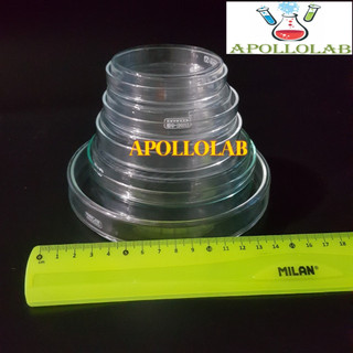 1 CẶP ĐĨA PETRI THỦY TINH NHIỀU SIZE- ĐỨC