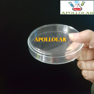 1 CẶP ĐĨA PETRI THỦY TINH NHIỀU SIZE- ĐỨC