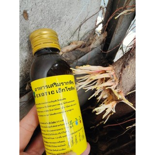 Exotic- Siêu Kích rễ Thái Lan 100ml, tái tạo rễ, kích rễ cám phát triển, giâm chiết, hồi phục cây