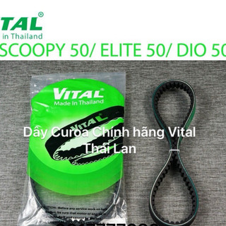 Dây curoa ELITE 50, Cre 50 ,Julio 50,Halim Crea 50 - Dây curoa VITAL chính hãng, hàng Thái Lan chất lượng cao