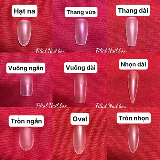 [NAIL BOX] Móng úp thiết kế hoạt hình cute dễ thương (ib chọn form)