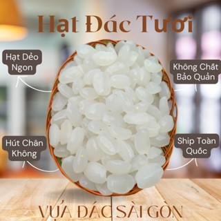 Hạt đác dẻo size TRUNG dùng làm Đác Rim hay các loại Topping, Nấu chè