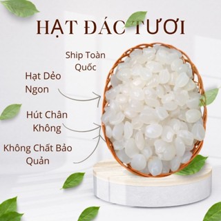 Combo 5kg Hạt đác tươi dẻo size TRUNG