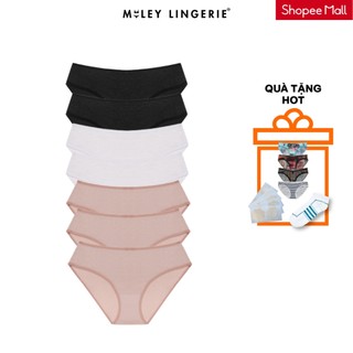 Set 7 Quần Lót Nữ Cotton Co Dãn 4 Chiều Flexi Miley Lingerie Màu Ngẫu Nhiên