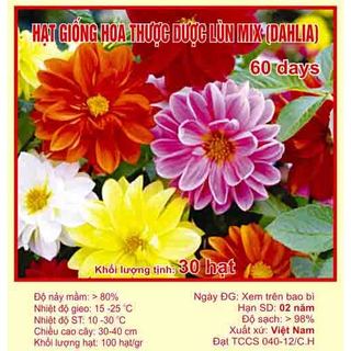 Hạt giống hoa thược dược lùn