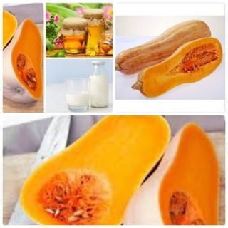 Hạt giống quả bí ngô mật
