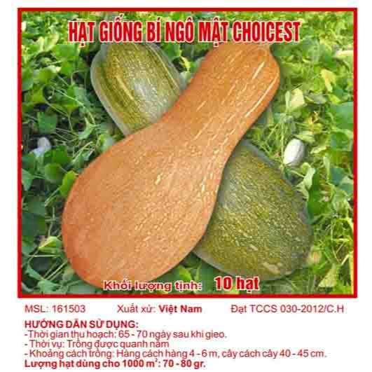 Hạt giống quả bí ngô mật