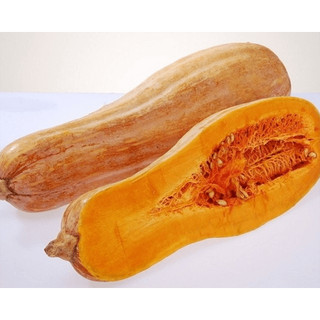 Hạt giống quả bí ngô mật