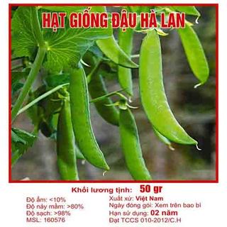 Hạt giống đậu hà lan
