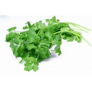 Hạt giống rau mùi