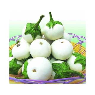 Hạt giống cà pháo