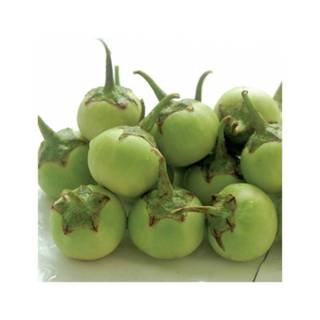 Hạt giống cà pháo