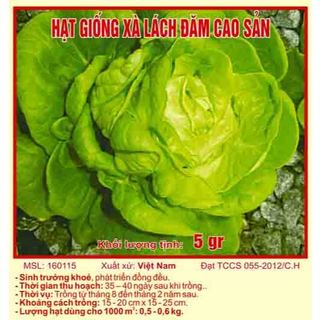 Hạt giống xà lách