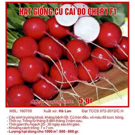 Hạt giống củ cải đỏ chery