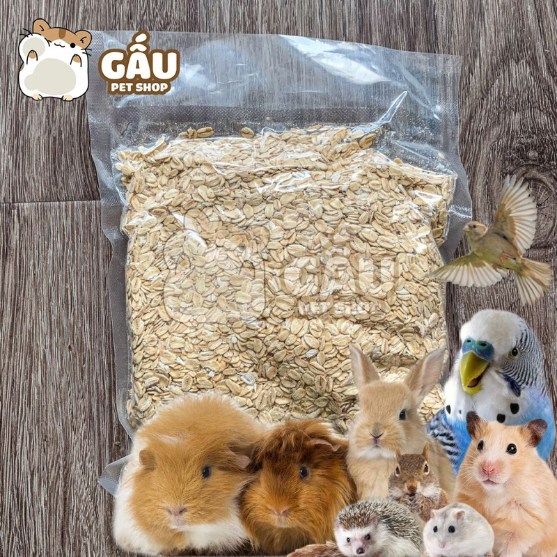[Giá sỉ] 500gr Yến Mạch Sữa cho Hamster