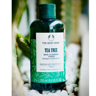 Nước Cân Bằng Cho Da Mụn Tea Tree Skin Clearing Toner 250ML