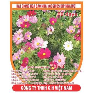Hạt giống hoa sao nhái