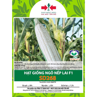  Hạt Giống Ngô   Bắp   Nếp Lai F1 Sd268  - Hai Mũi Tên Đỏ Gói 100G 