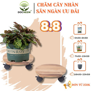 Đế lót để chậu cây có bánh xe MONROVIA làm giá đỡ kệ hoa cây cảnh, màu vàng đường, chịu tải tốt