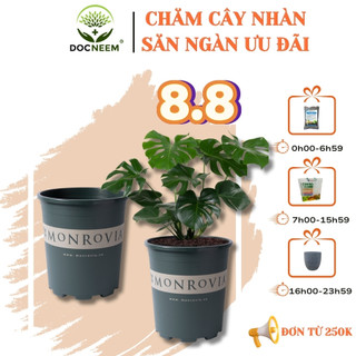 Chậu nhựa trồng cây MONROVIA 7 Gallon để bàn, treo ban công, treo tường, ngoài trời, sân vườn, tiêu chuẩn Châu Âu