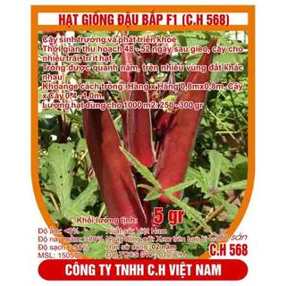 Hạt giống đậu bắp đỏ