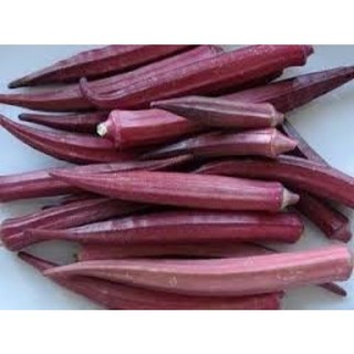 Hạt giống đậu bắp đỏ