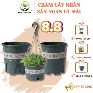Chậu nhựa trồng cây MONROVIA  trong nhà, sân vườn, treo ban công, treo tường, size Lớn tiêu chuẩn Châu Âu