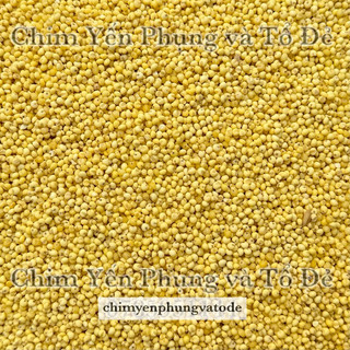 1kg hạt kê nếp vàng (đã bóc sạch vỏ) dùng làm bánh, nấu chè..