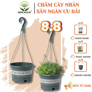 Chậu treo ban công MONROVIA, trồng hoa, cây cảnh, sân vườn, thiết kế tinh tế, thoát nước tốt, tiêu chuẩn Châu Âu
