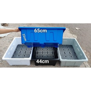 Combo 3 cái Chậu chữ nhật - khay trồng rau, trồng sen , nuôi cá .. 45 lít  kích thươc dài 65cmx rộng 44cmx cao 22cm